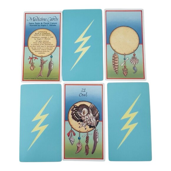 Medicine Cards Discovery of Power Throughout Ways of Animals Book Cards Vtg1988 - Picture 8 of 14